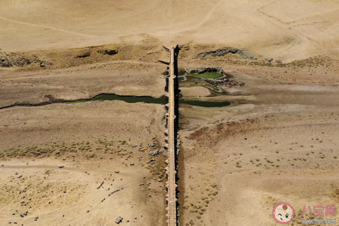 大旱會不會造成糧價菜價上漲 長江流域干旱到底有多嚴重 大旱會不會造成糧價菜價上漲 長江流域干旱到底有多嚴重