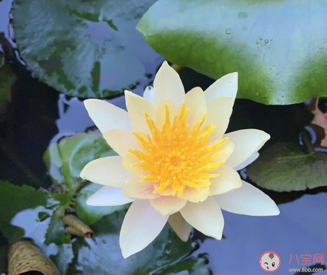 喜歡和合適真的很難選擇嗎 喜歡和合適哪個重要