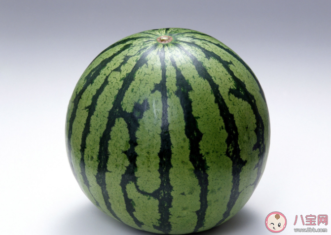 西瓜原產(chǎn)地是在哪里 關(guān)于西瓜的一些知識(shí) 西瓜原產(chǎn)地是在哪里 關(guān)于西瓜的一些知識(shí)