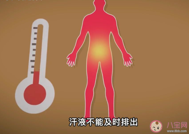 螞蟻莊園待在室內就不會得熱射病了嗎 8月20日答案