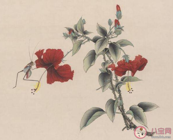 沒有蚊香古人怎么驅蚊 古人是如何吐槽蚊子的 沒有蚊香古人怎么驅蚊 古人是如何吐槽蚊子的