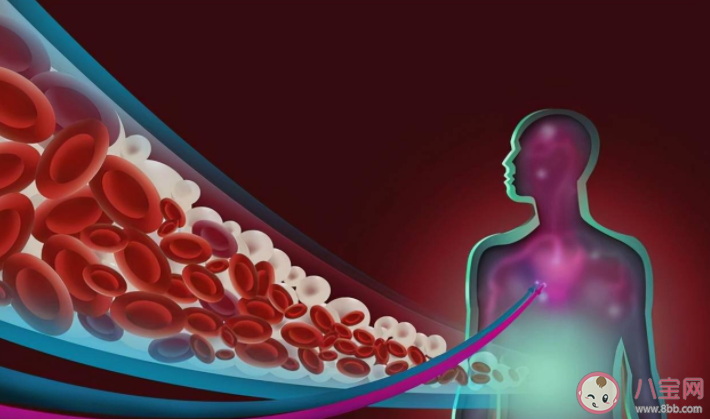 洗血脂能夠預(yù)防高血脂嗎 洗血脂有什么風險