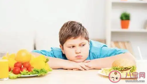 怎樣正確預防少兒肥胖 青少年肥胖問題如何解決 怎樣正確預防少兒肥胖 青少年肥胖問題如何解決