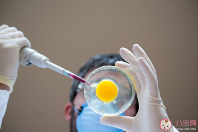 做試管嬰兒會讓女性老得更快嗎 試管嬰兒適應癥和禁忌癥介紹 做試管嬰兒會讓女性老得更快嗎 試管嬰兒適應癥和禁忌癥介紹