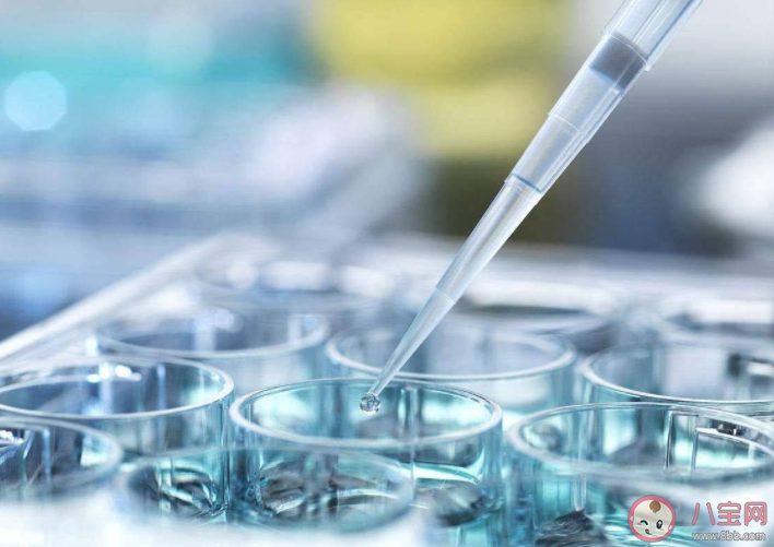 做試管嬰兒會讓女性老得更快嗎 試管嬰兒適應癥和禁忌癥介紹 做試管嬰兒會讓女性老得更快嗎 試管嬰兒適應癥和禁忌癥介紹