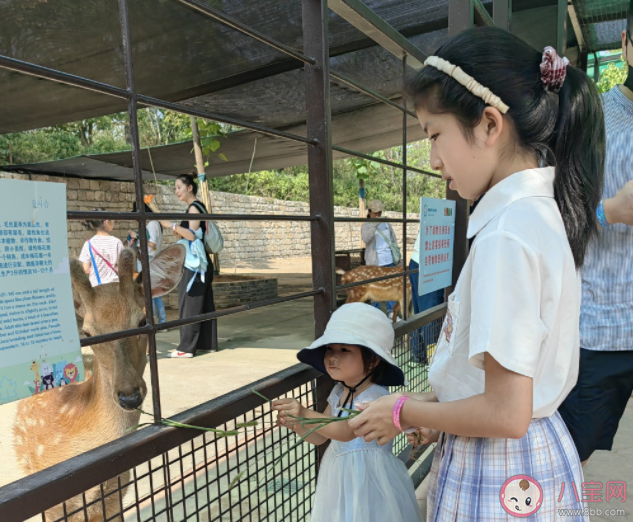 開學前如何幫孩子收心 孩子開學前要做哪些準備