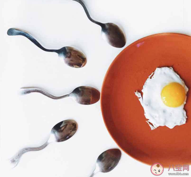 四大精子殺手是什么 如何保證精子質量