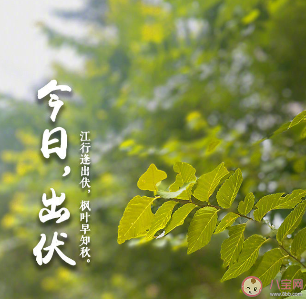 三伏結束了的朋友圈心情句子 三伏結束了的感受說說