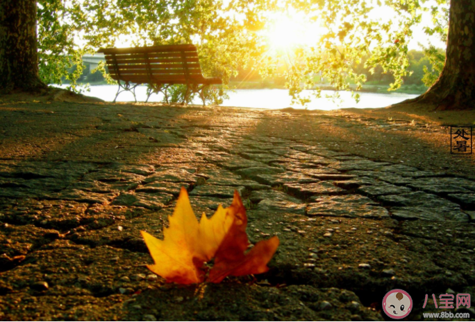 秋老虎每年都會出現嗎 秋老虎要注意什么