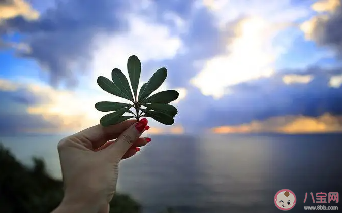 對你來說怎樣才是最好的生活 你向往的生活是怎么樣的