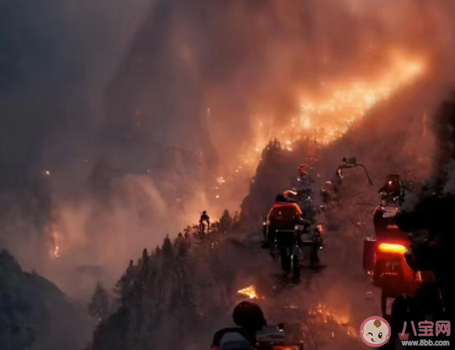 什么是以火滅火 森林火災如何預防和避險 什么是以火滅火 森林火災如何預防和避險