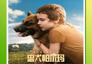 電影《忠犬帕爾瑪》的原型是誰 《忠犬帕爾瑪》是真實故事改編的嗎