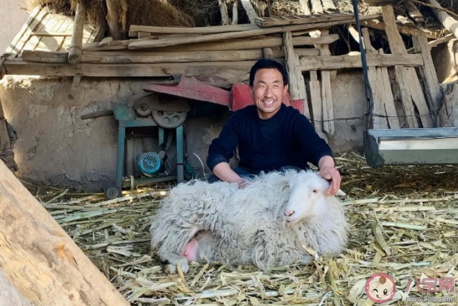 電影《隱入塵煙》馬有鐵結局死了嗎 為什么沒人救貴英