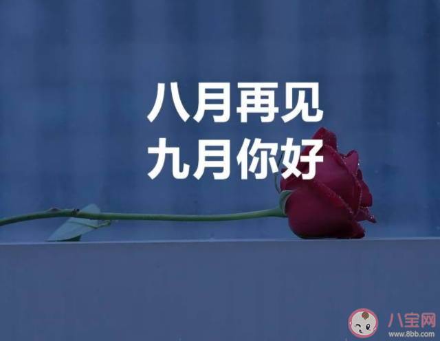 八月再見九月你好圖片美文2022 八月再見九月你好溫柔短句文案 八月再見九月你好圖片美文2022 八月再見九月你好溫柔短句文案