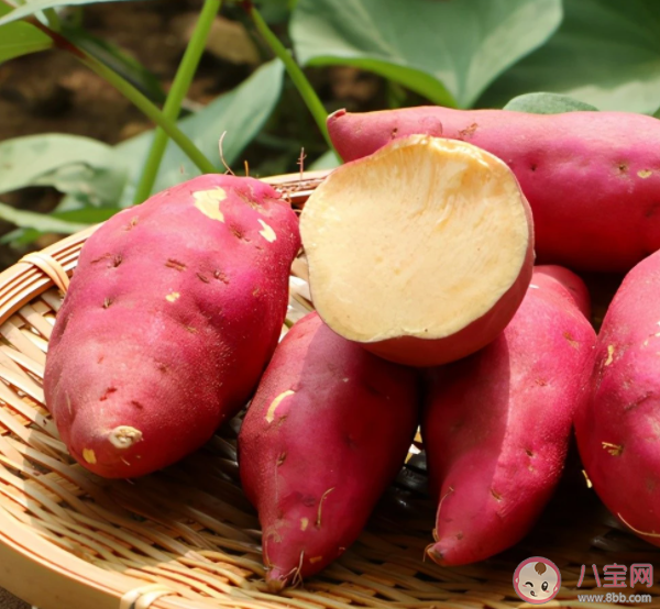 紅薯可以當(dāng)主食吃嗎 紅薯到底是升血糖還是降血糖