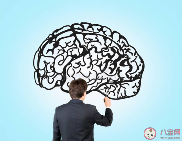 哪些壞習慣會導致大腦衰老 給大腦減負的5個方法 哪些壞習慣會導致大腦衰老 給大腦減負的5個方法