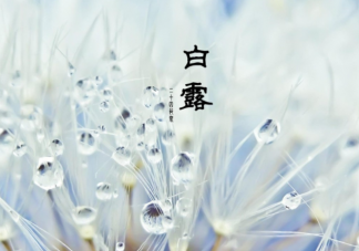 白露有三怕指的是什么 白露十樣白是什么意思