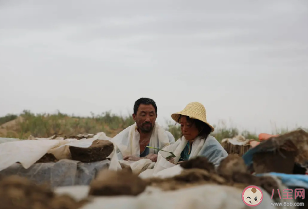 《隱入塵煙》經(jīng)典臺詞句子大全 《隱入塵煙》臺詞文案摘抄