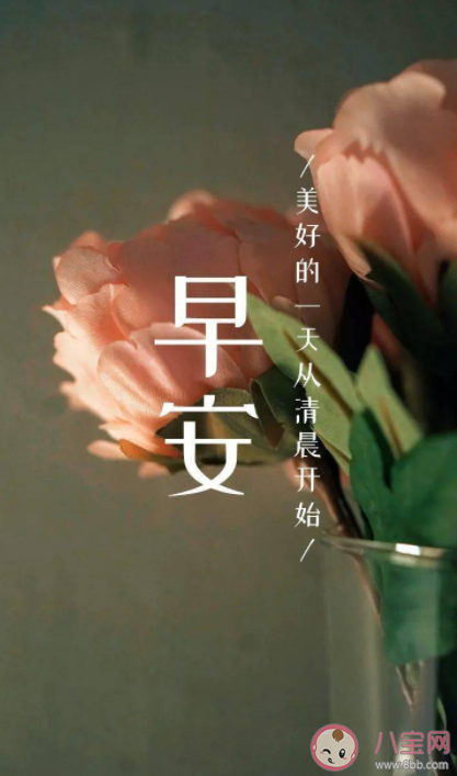 9月第一天朋友圈文案怎么發(fā) 9月第一天早安精選文案句子2022