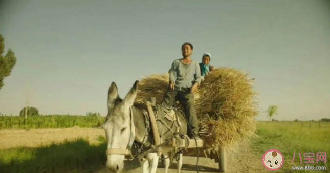 電影《隱入塵煙》觀后感800字作文 《隱入塵煙》觀后感三篇