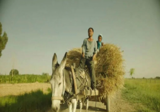 電影《隱入塵煙》觀后感800字作文 《隱入塵煙》觀后感三篇