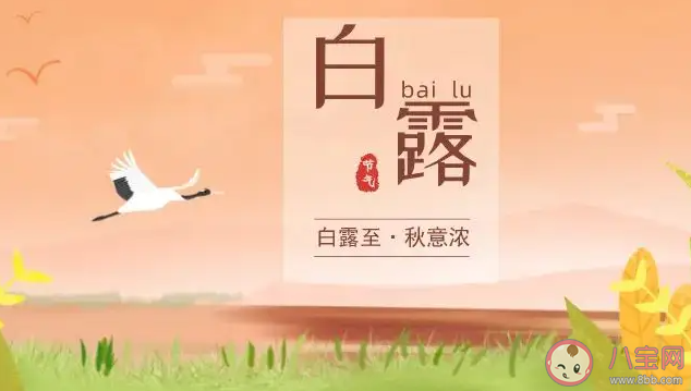 2022今日白露的朋友圈文案精選 今日白露發朋友圈說說句子