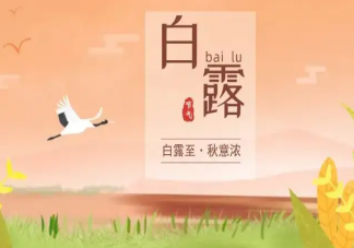 2022今日白露的朋友圈文案精選 今日白露發朋友圈說說句子