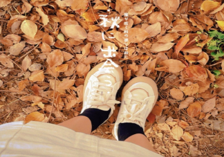 夏天結(jié)束秋天開始的文案說(shuō)說(shuō) 告別夏天迎接秋天的句子