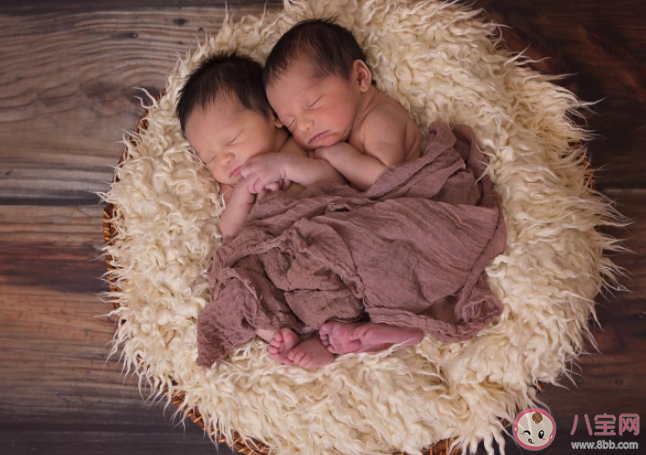 雙胞胎會在肚子里打架嗎 雙胞胎雙絨雙羊是什么意思