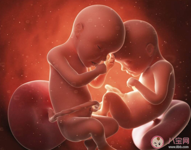 雙胞胎在媽媽肚子里是如何相處的 懷雙胞胎注意事項