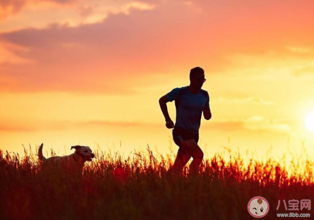 生活讓你懂了些什么 生活教會你的人生道理