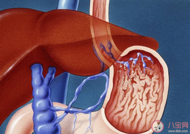胃痛和膽痛有什么區別 兩種疼痛有什么不同
