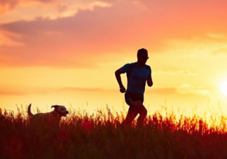 生活讓你懂了些什么 生活教會你的人生道理