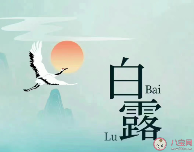 今日白露的文案說(shuō)說(shuō)精選 今日白露的說(shuō)說(shuō)語(yǔ)錄