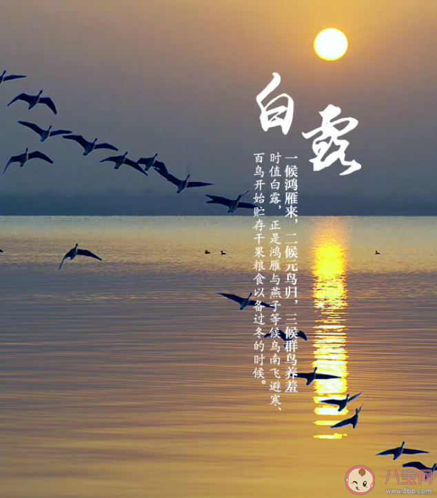 為什么形容露水是白的 白露節(jié)氣的由來(lái)是怎樣的 為什么形容露水是白的 白露節(jié)氣的由來(lái)是怎樣的