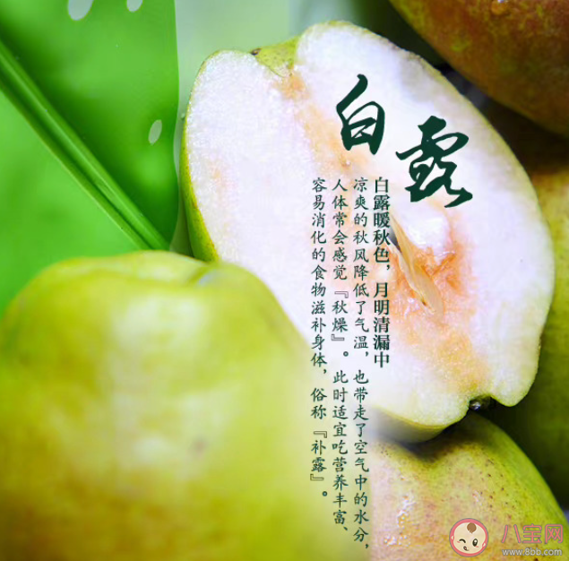 為什么形容露水是白的 白露節(jié)氣的由來(lái)是怎樣的 為什么形容露水是白的 白露節(jié)氣的由來(lái)是怎樣的