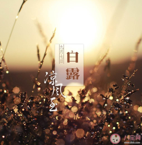 白露三侯是哪三侯 白露如何養生