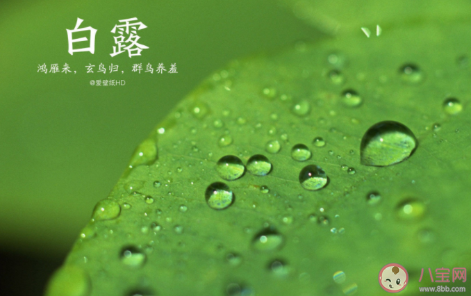 白露三侯是哪三侯 白露如何養生