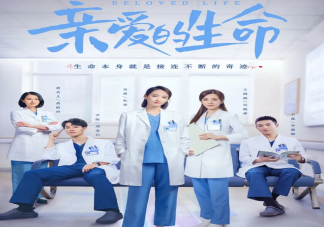 《親愛的生命》講述了什么故事 這部劇值得期待嗎
