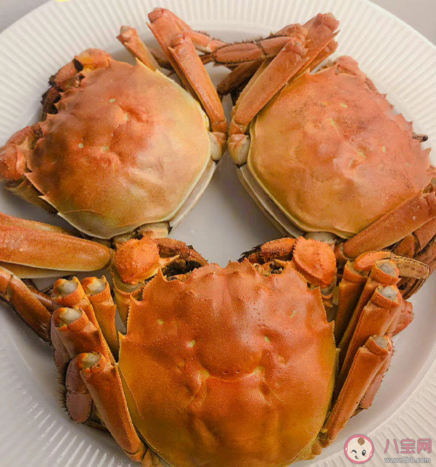 2022秋天第一頓螃蟹心情文案句子 秋天第一頓螃蟹的心情說說