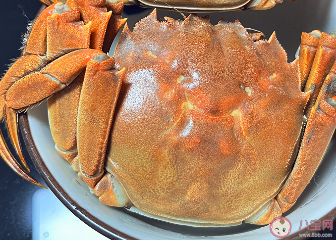 2022秋天第一頓螃蟹心情文案句子 秋天第一頓螃蟹的心情說說