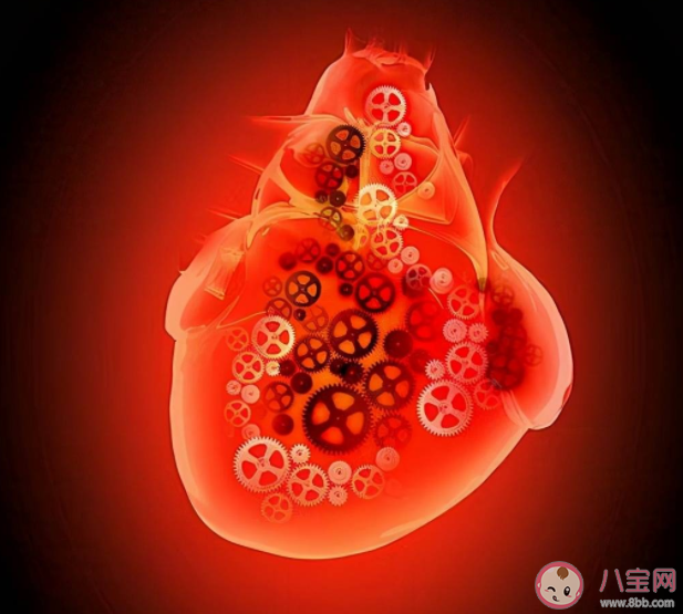 破碎的心能夠復原嗎 經常手腳冰涼是心臟不好嗎 破碎的心能夠復原嗎 經常手腳冰涼是心臟不好嗎