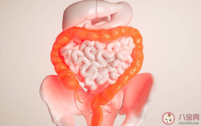 腸息肉切掉了為什么 還會復發 腸道為什么會長息肉