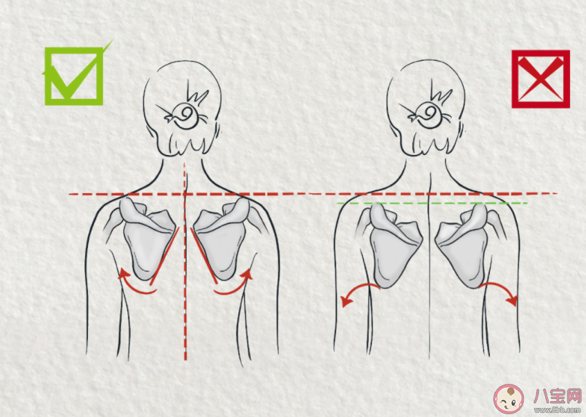 直角肩和圓肩到底哪種才是健康 苦練直角肩身體會遇到什么問題