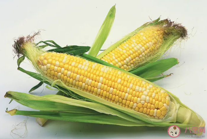 玉米與紅薯什么時候傳入中國的 玉米和紅薯哪個熱量低