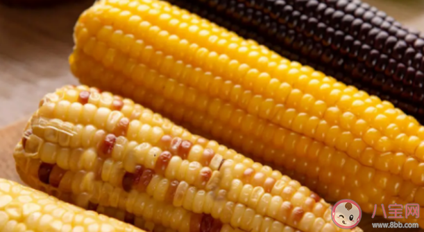 玉米與紅薯什么時候傳入中國的 玉米和紅薯哪個熱量低