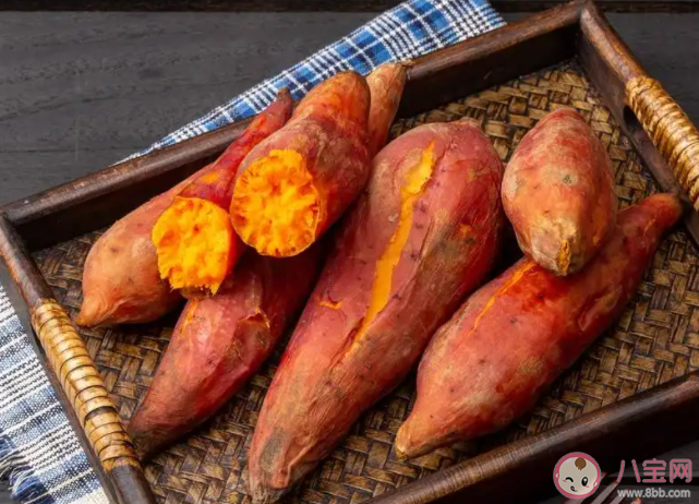 玉米與紅薯什么時候傳入中國的 玉米和紅薯哪個熱量低