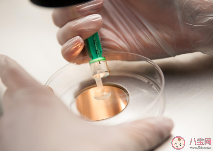 男性精液檢查主要是看什么 精液檢查前注意事項(xiàng) 男性精液檢查主要是看什么 精液檢查前注意事項(xiàng)