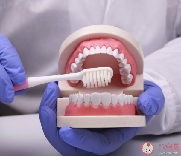 好好刷牙能讓牙變白嗎 美白牙膏可以讓牙齒變白嗎