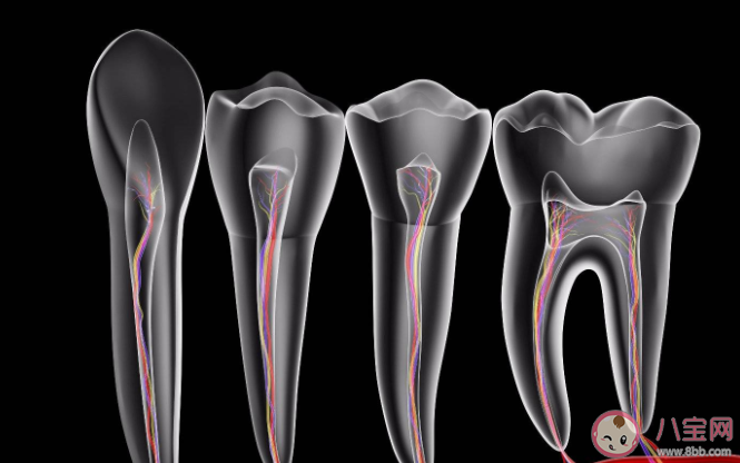 根管治療后為什么還需要做牙冠 做根管治療后要注意什么問(wèn)題